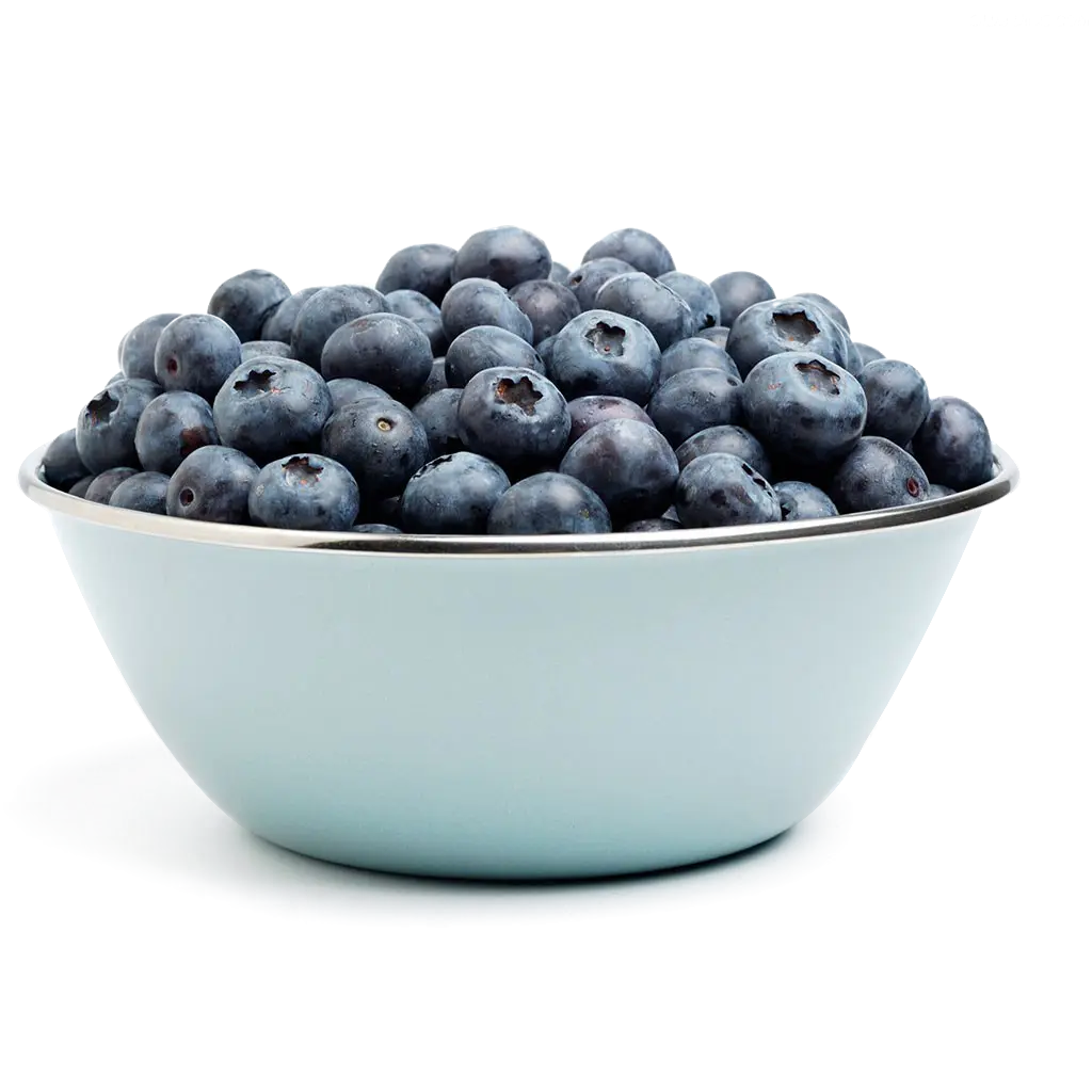 A bowl of delicious Hazelwood blueberries! Abbotsford, BC